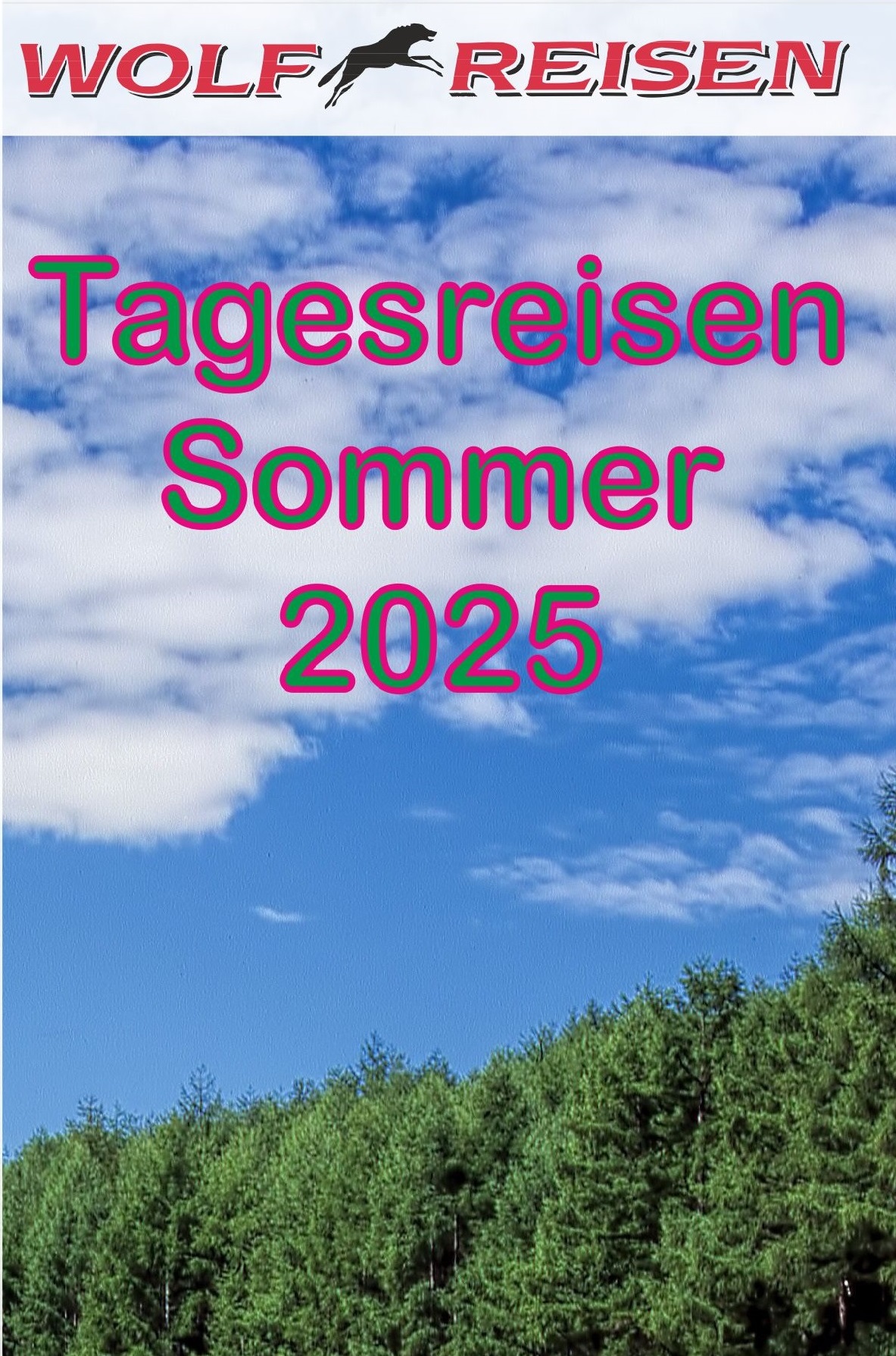 Tagesreisen 2025