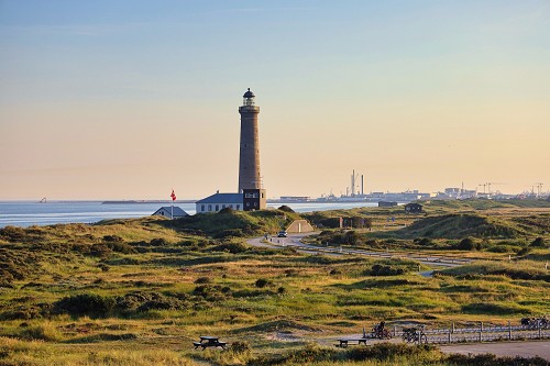 47f5808_1350.jpg