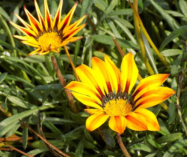 4bg3858_1331.jpg